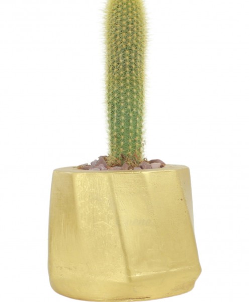 Saksı Çiçek Kaktüs Saksısı Lüx 15 cm Altın Varak Boyalı Kalın Çizgili Desen Saksı Çiçeklik